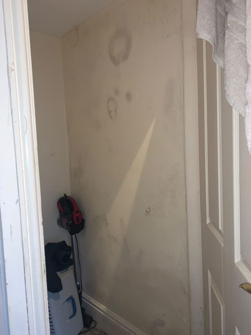 Sent from a private renter in Cardiff (Photo Supplied)